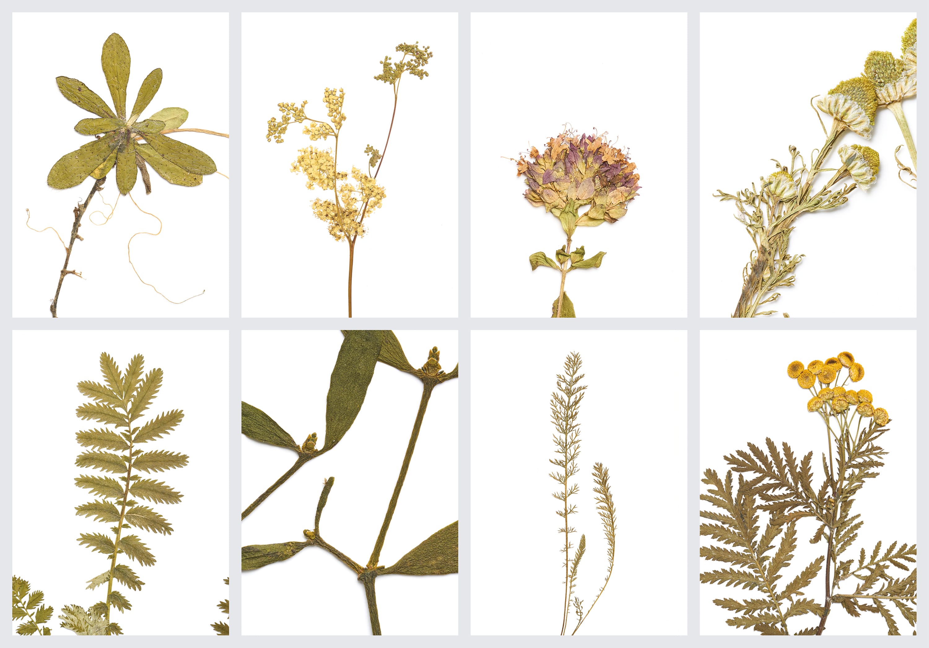 Übersicht von Set 3