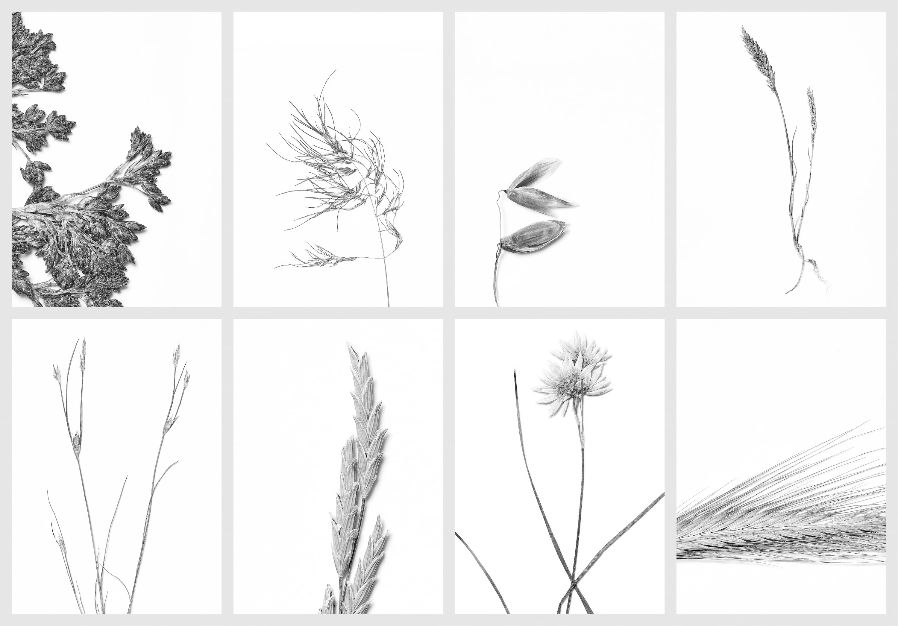 &Uuml;bersicht von Set 4