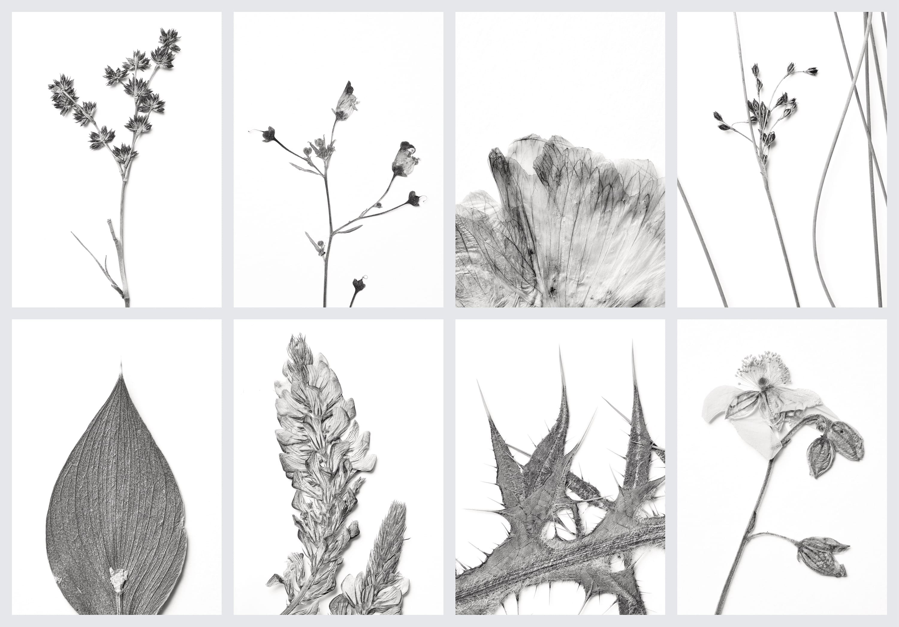 Übersicht von Set 2