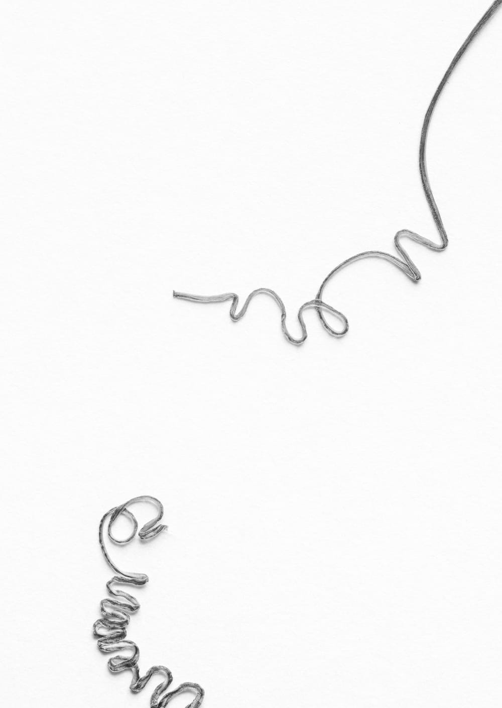 Postkarte eines Herbarbelegs von Bryonia dioica