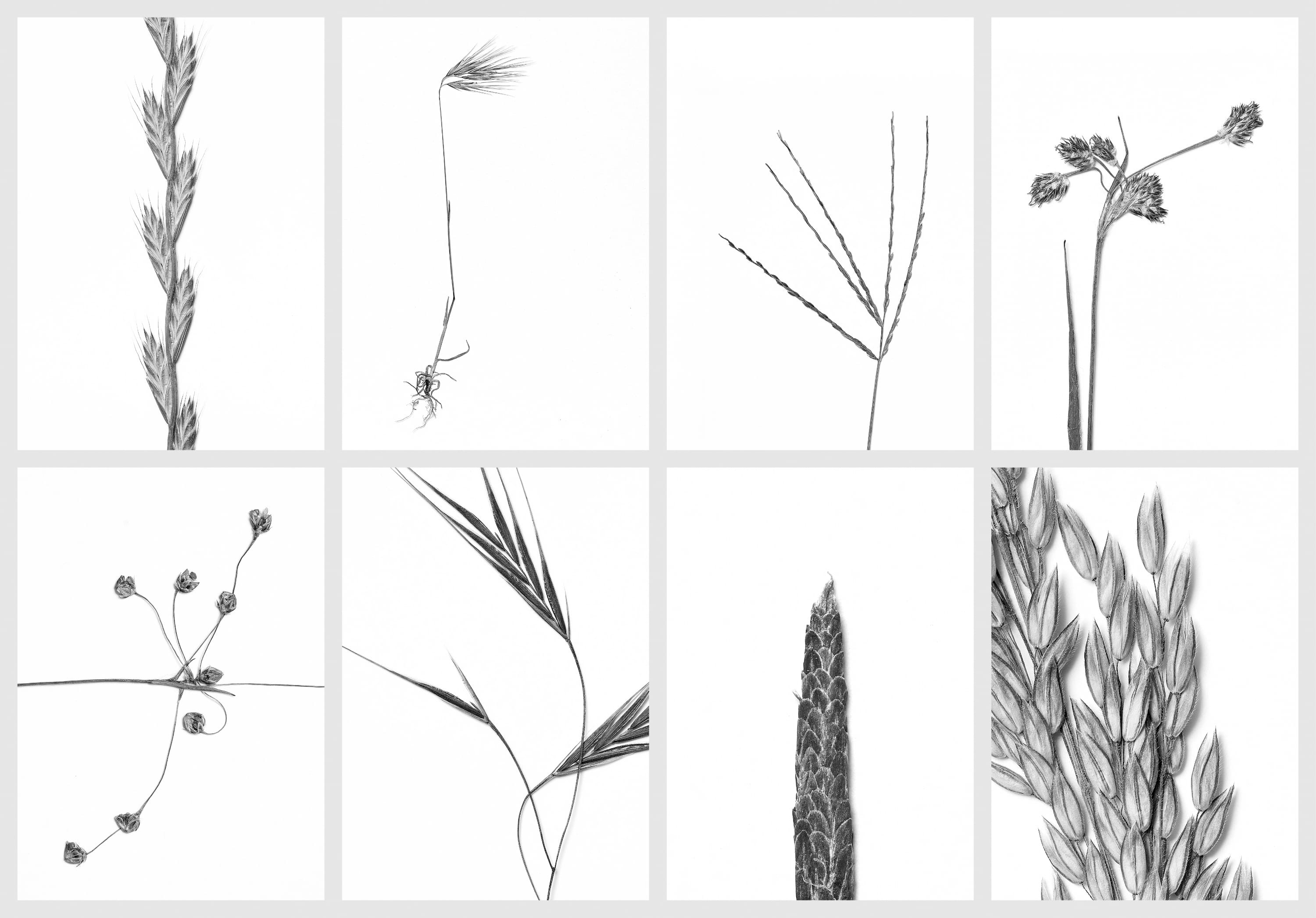 &Uuml;bersicht von Set 5