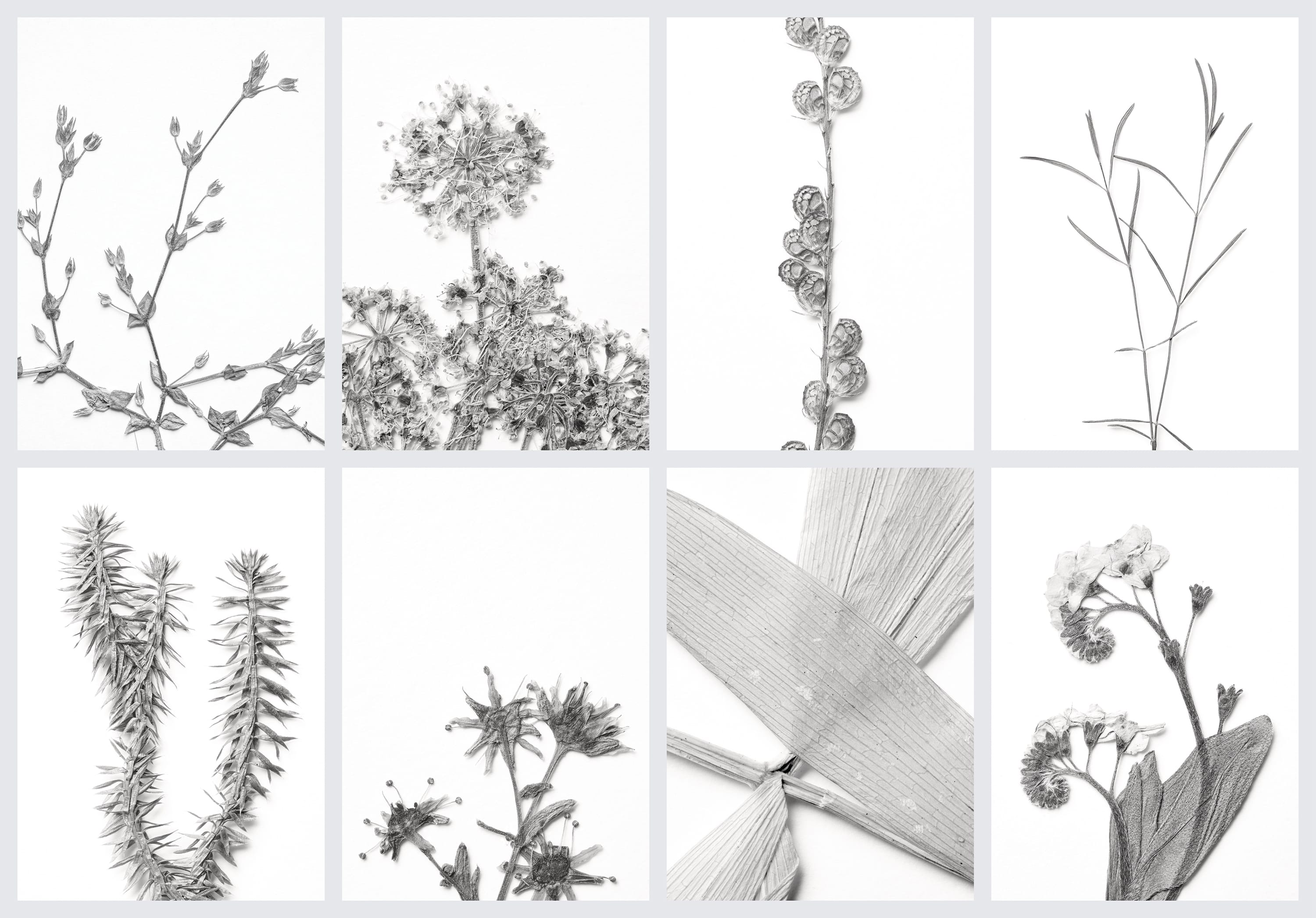 Übersicht von Set 1